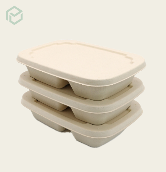 Bagasse Containers