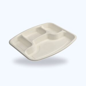 Bagasse Meal Trays