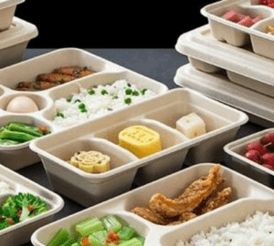 Bagasse Plates & Trays